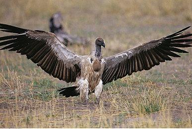 巴萨继续与科乐美合作 坚守《eFootball》