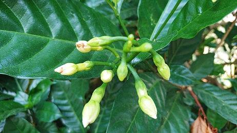 格斗游戏《碧蓝幻想Versus：Rising》Steam国区售价永降 降幅超百元